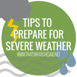 Safety Tips for Severe Weather – That's What {Che} Said...