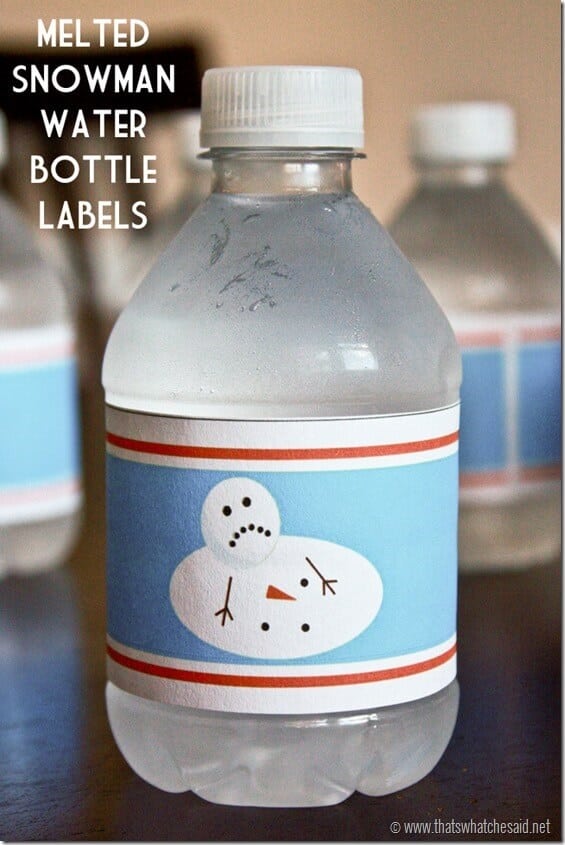 https://www.thatswhatchesaid.net/wp-content/uploads/2013/11/Free-Water-Bottle-Labels-at-thatswhatchesaid.net__thumb.jpg