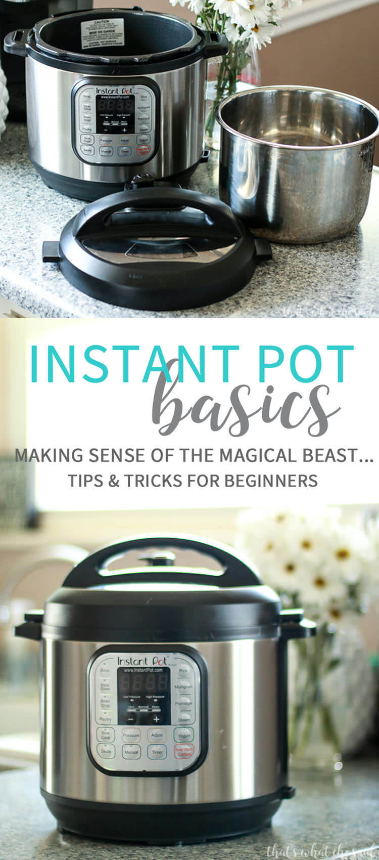 How To Use The Instant Pot For Beginners