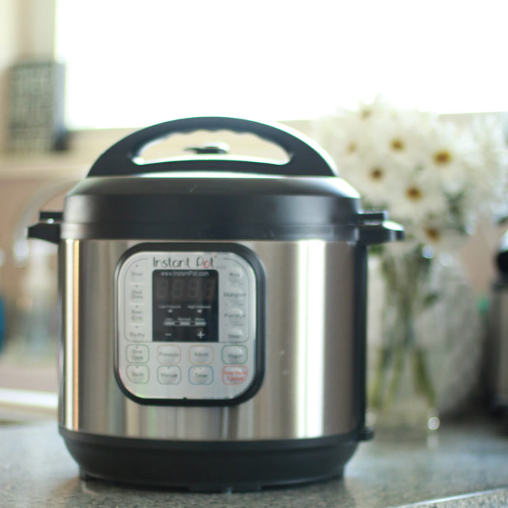 Everything Instant Pot – All You Need To Know – That's What {che} Said