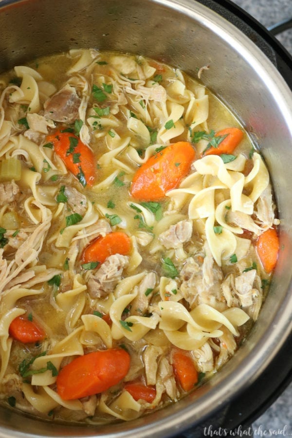 Instant Pot Chicken Noodle Soup – That's What {Che} Said...