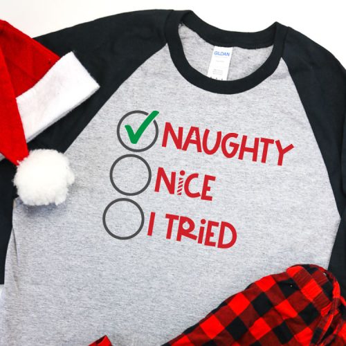 Naughty Nice I Tried SVG – That's What {Che} Said...