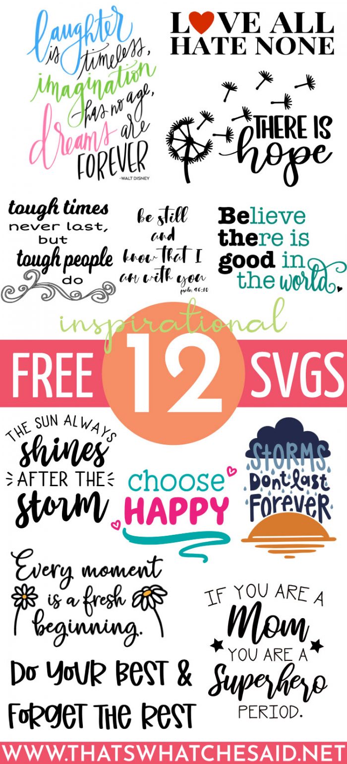 12 Inspirational Quote SVG Files - That's What {Che} Said...