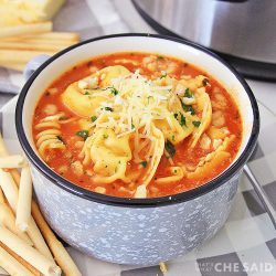 15+ Easy Instant Pot Soup Recipes – That's What {Che} Said...