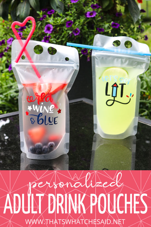 Adult Drink Pouches – That's What {Che} Said...