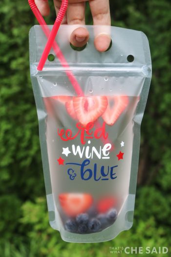 Adult Drink Pouches – That's What {Che} Said...