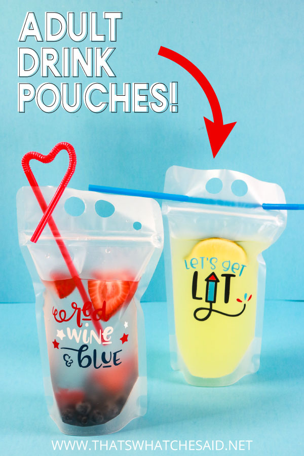 Adult Drink Pouches – That's What {Che} Said...