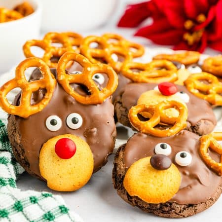 Reindeer Cake Mix Cookies – That's What {Che} Said...