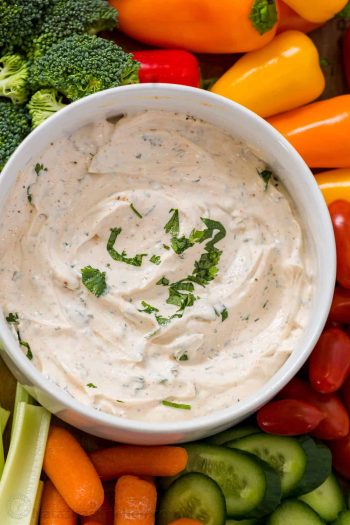 Easy Dip Recipes – That's What {Che} Said...