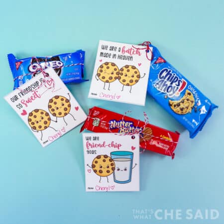 Cookie Valentines - cookie packages with free printable cookie valentine tied on - square