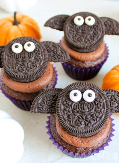 Bat Cupcakes Square Format - Halloween chocolate cupcakes