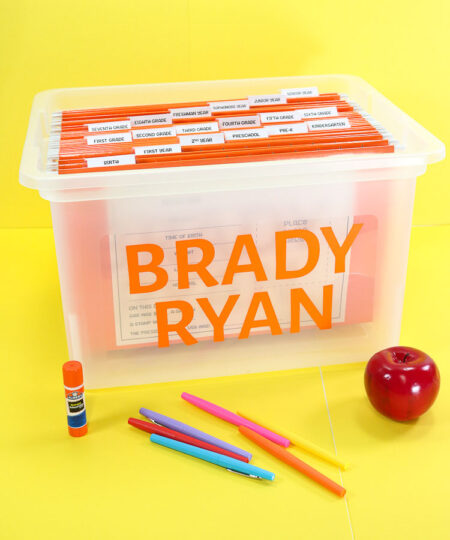 School Memory Bin Printables