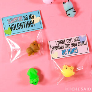 Squishy Valentine Card Printable